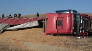 Tır devrildi, tonlarca buğday etrafa saçıldı: 1 yaralı