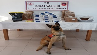 Tokatta tütün kaçakçılığı operasyonunda 2 şüpheli gözaltına alındı