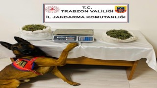 Trabzonda uyuşturucu operasyonu: 1 tutuklama