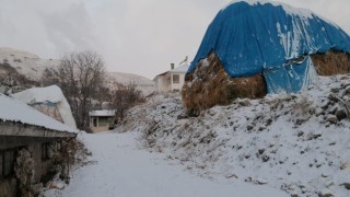 Tuncelide kar sevinci kısa sürdü