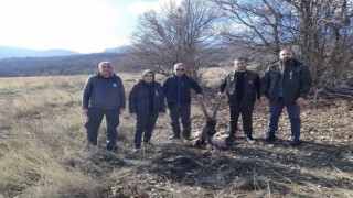 Tuncelide yaban keçisi öldüren 4 kişiye 264 bin 576 lira ceza