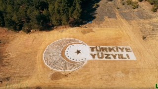 Türkiye Yüzyılı logosu 30 bin 600 fidanla yazıldı