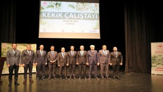 Türkiyenin kekik deposu Denizlide sektörün geleceği konuşuldu