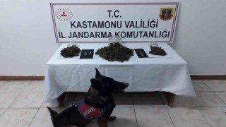 Turşu bidonu ve kavanozlara esrar zulalayan şahıs jandarmadan kaçamadı