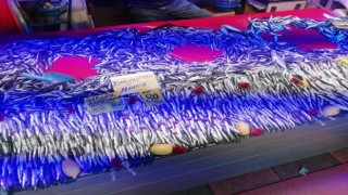 Ucuzlayan hamsinin fiyatı tekrar yükseldi
