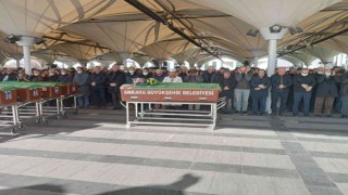 Üniversiteli genç kız trafik kazasında hayatını kaybetti
