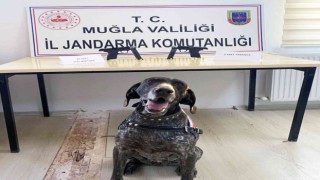 Uygulamada kurusıkıdan bozma 2 tabanca ele geçirildi