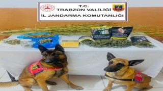 Uyuşturucu madde ticareti yapan evli çift tutuklandı