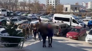 Vanda 12 adrese uyuşturucu operasyonu: 10 tutuklama