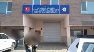 Vanda 5 organizatör tutuklandı