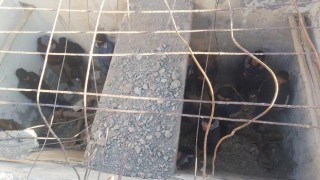 Vanda kullanılmayan su deposunda yabancı uyruklu 24 şahıs yakalandı