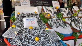 Vatandaşlar fiyatı düşen hamsiye yöneldi