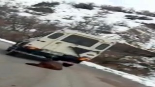 Vurdukları domuzu aracın arkasına bağlayarak sürüklediler