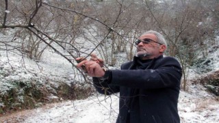 Yağan kar fındık üreticilerini sevindirdi