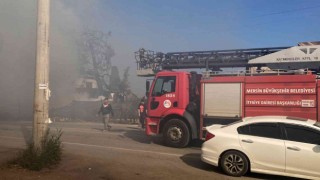 Yangın devasa ağacı sardı, ekiplerin müdahalesi ile eve sıçramadan söndürüldü