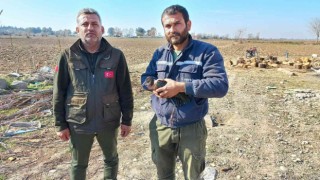 Yaralı bulunan çeltikçi kuşu ve kızıl şahin tedaviye alındı