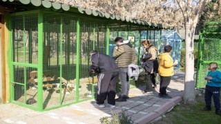 Yarıyıl tatilinde Tarsus Doğa Parkına yoğun ilgi