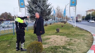Yaya ve üst geçitleri kullanmayanlara af yok