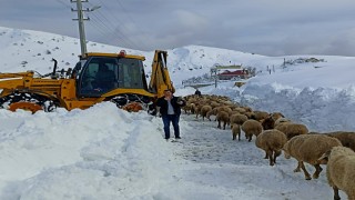 Yaylada koyunlarıyla birlikte 3 gün mahsur kalan çobanı belediye ekipleri kurtardı