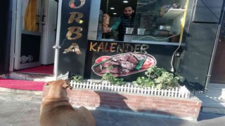 Yemek bekleyen sokak köpeğini geri çevirmediler