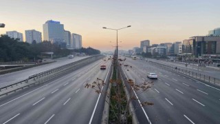 Yılın ilk günü İstanbulda yollar bomboş