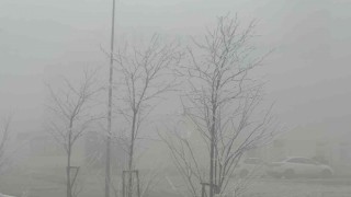Yoğun sis Aksarayı etkisi altına aldı