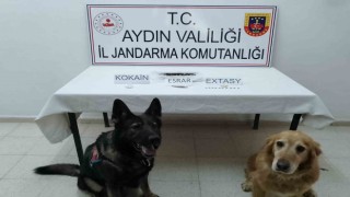 Yolcu otobüsünde uyuşturucuyla yakalandı