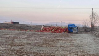 Yoldan çıkan tırın dorsesindeki soğan çuvalları tarlaya saçıldı: 1 yaralı