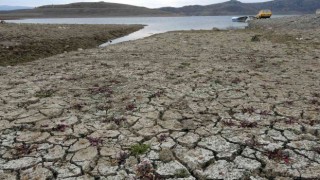 Yozgatta baraj ve göletlerde kuraklık nedeniyle su seviyesi azaldı