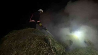 Yüksekovada çıkan yangında 4 bin bağ ot kül oldu