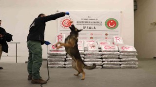 Yunanistandan Türkiyeye giriş yapan tırda 603 kilo 500 gram skunk ele geçirildi