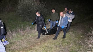 Zeytin bahçesinde kafatası ve kemik parçaları bulundu