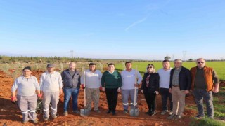 Zeytin Çiftliğinden elde edilecek gelirin tamamı 35 bin öğrenciye burs olacak