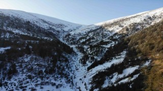 Ziganada yaşanan çığ felaketinin 14. yılında Zigana Dağı karsız kaldı