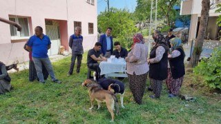 Zonguldakta 12 bin 655 evcil hayvana çip takıldı