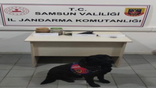 19 Mayısta uyuşturucu ve tabanca ele geçirildi