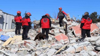 75 yaşındaki beyin cerrahı enkaz altında aranıyor