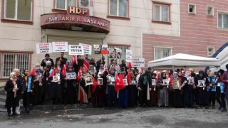 9 yaşında çobanlık yaparken kaçırılan ağabeyini PKKdan istiyor