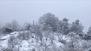 Adananın kuzey ilçeleri güne karla uyandı
