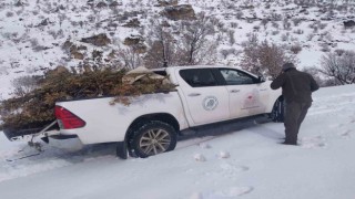 Adıyamanda doğaya yem bırakıldı