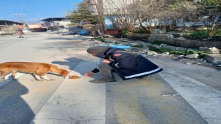 Afet bölgesindeki can dostlara Osmangazi şefkati