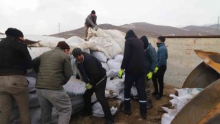 Ağrıdan deprem bölgesine mısır silajları gönderildi