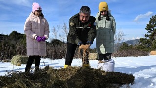 Amanoslar’da yaban hayvanlarına yem bırakıldı