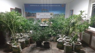 Antalyada 27 kilogram esrar ele geçirildi