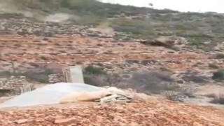 Antalyada dağdan gelen kaya paniği