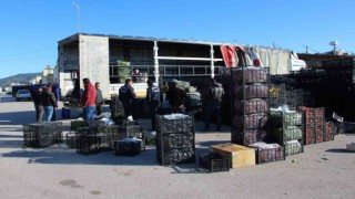 Antalyadan afet bölgesine 100 ton sebze