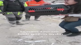 Artçı sarsıntılar arasında 7. katta mahsur kalan kediyi kurtardı