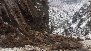 Artvin-Ardahan karayolunda bir heyelan daha