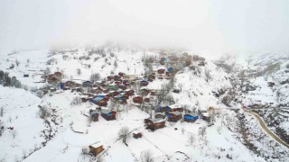 Artvinde çığ altında kalan bir kişi kurtarıldı
