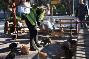 Asrın Felaketinde Sokak Hayvanları Unutulmadı